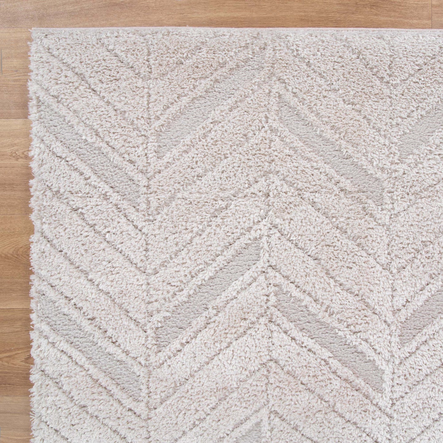 Shaggy 16001 Beige