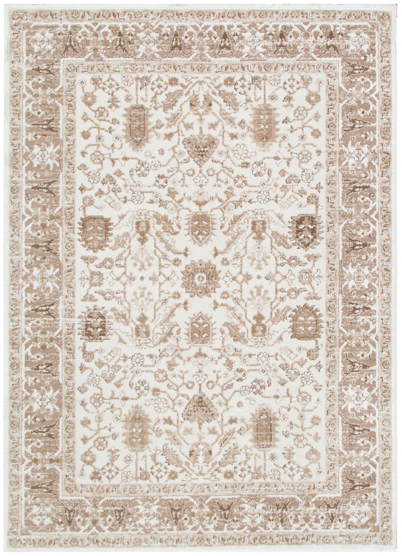 Sierra Oriental Border Brown